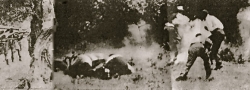 1941. Η απάντηση των Γερμανών στην αντίσταση ήταν άμεσα και σκληρά αντίποινα. Εδώ εχουν περικυκλώσει Κρητικούς και τους εκτελούν.