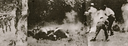 1941. Retribution by the Germans was swift and merciless. Here, Cretans are rounded up and executed.