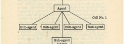 The “Salonica cell,” comprised of OSS and Greek Naval Intelligence members Doundoulakis and Yiapitzoglou as the “operative” and “agent”